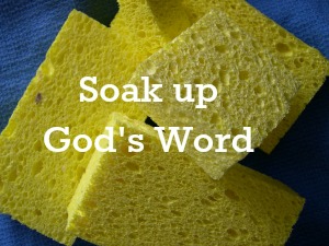 Soaking Up God’s Word | KingdomNomics.com