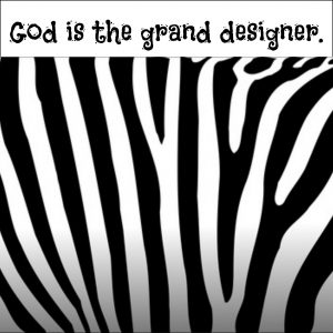 God is the grand designer | KingdomNomics.com