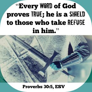 “Every word of God proves true; he is a shield to those who take refuge in him.” (Proverbs 30:5, ESV) | KingdomNomics.com 