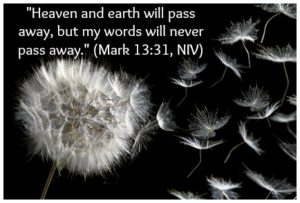 “Heaven and earth will pass away, but my words will never pass away.” (Mark 13:31, NIV) | KingdomNomics.com 
