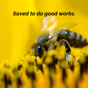 Saved to Do Good Works | KingdomNomics.com